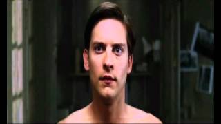 SPIDER-MAN - SIGNAL FIRE