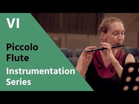 Piccolo Flute - David Newman Instrumentation Series