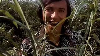 Karel Gott : Einmal um die ganze Welt (1970)