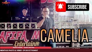 Download lagu CAMELIA | RAFIFA MUSIC | LIVE TUNAS AUR | wd'ENTIK&INDAH' | SHAPA WG CHANNEL mp3 Download lagu CAMELIA | RAFIFA MUSIC | LIVE TUNAS AUR | wd'ENTIK&INDAH' | SHAPA WG CHANNEL mp3