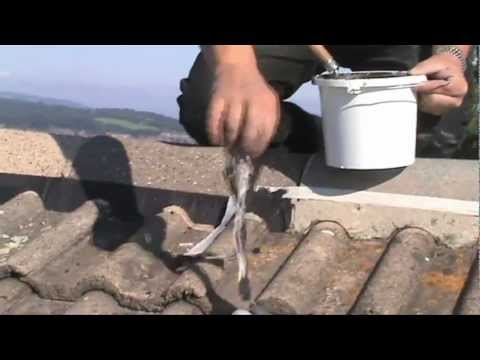 Flexipoint Ridge Pointing