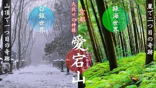 [Two miracles in one day! ] Mt. Atago solo climbing plan/Kyoto Kiyotaki trailhead