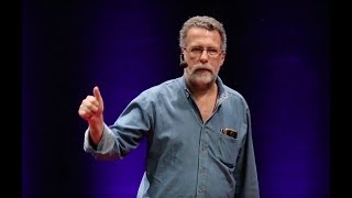 Comunicação em ambientes complexos | Luiz Fernando Dabul Garcia | TEDxSantos