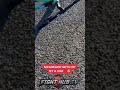CONOR MCGREGOR HIT BY CAR ON BIKE! CAPTURES AFTERMATH & BEFRIENDS DRIVER IN SHOCKING TURN OF EVENTS