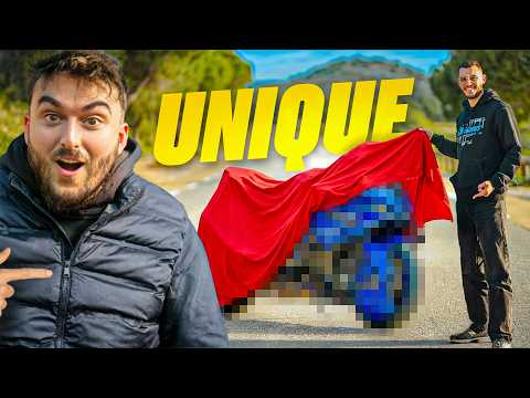 WE'VE DONE SOMETHING CRAZY AGAIN! | Daily Observation #58