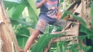 Download lagu #58 Akibat Manjat Pohon Pisang mp3