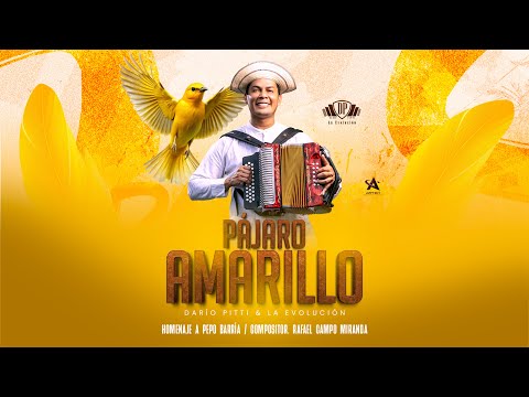 PÁJARO AMARILLO  - DARIO PITTÍ & LA EVOLUCIÓN