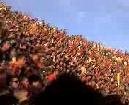 Allo stadio lecce chievo 3-0 lequile