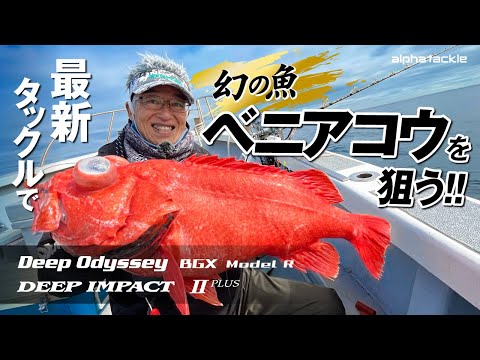 トップ | alphatackle トップ | alphatackle