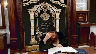 נדרים ט"ז הרב משה ראובן ארליך