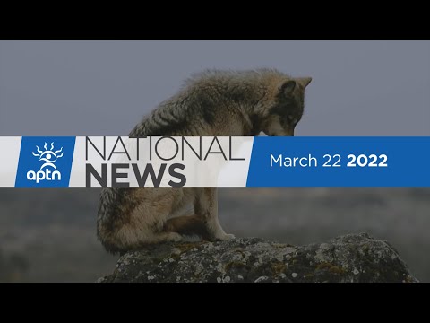 APTN National News March 22, 2022 – Controlling the wolf population, Skiing with ribbon skirts