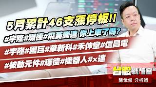 5月累計46支漲停板!!#宇隆#璟德#飛黃騰達 你上車了嗎?#宇隆#國巨#華新科#禾伸堂#信昌電#被動元件#璟德#機器人#x達｜小武哥投資事務所｜陳武傑 (圖)