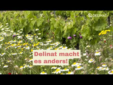 Naturparadies statt Rebenwüste