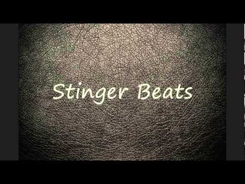 FREE Rap\Hip Hop Beat #1 (by Stinger)