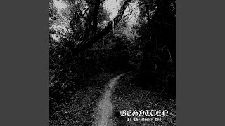 Cover art for Through Unending Rain