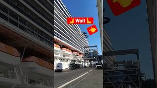 💯🚢#cruiseship #viewersloverviews #shorfeed #short #youtube