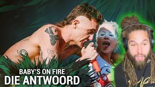 Download lagu Rapper's first time seeing DIE ANTWOORD - Baby's On Fire LIVE! mp3 Download lagu Rapper's first time seeing DIE ANTWOORD - Baby's On Fire LIVE! mp3