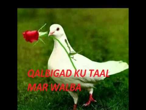 Lafoole hees cusub Isa Seeg 2014 by  SOMALI STD NRB