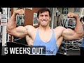 SHREDDED Arm Day | ft. The OGs