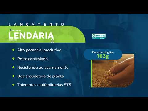 Cultivares de soja: melhores variedades para safra 2023/24