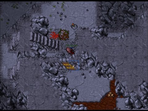 Tibia: Hunting guides 2 (1st floor 60-80 Mages, 2nd floor 60-80+ any vocation - Liberty bay)