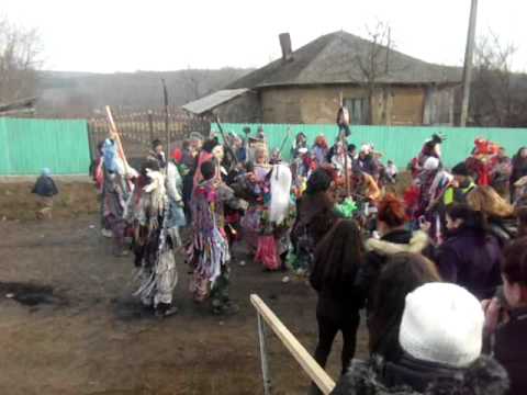 capra de la madarjac