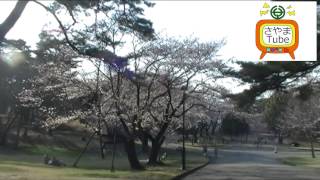 狭山稲荷山公園のイメージ