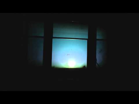 Zaske Halloween 2013