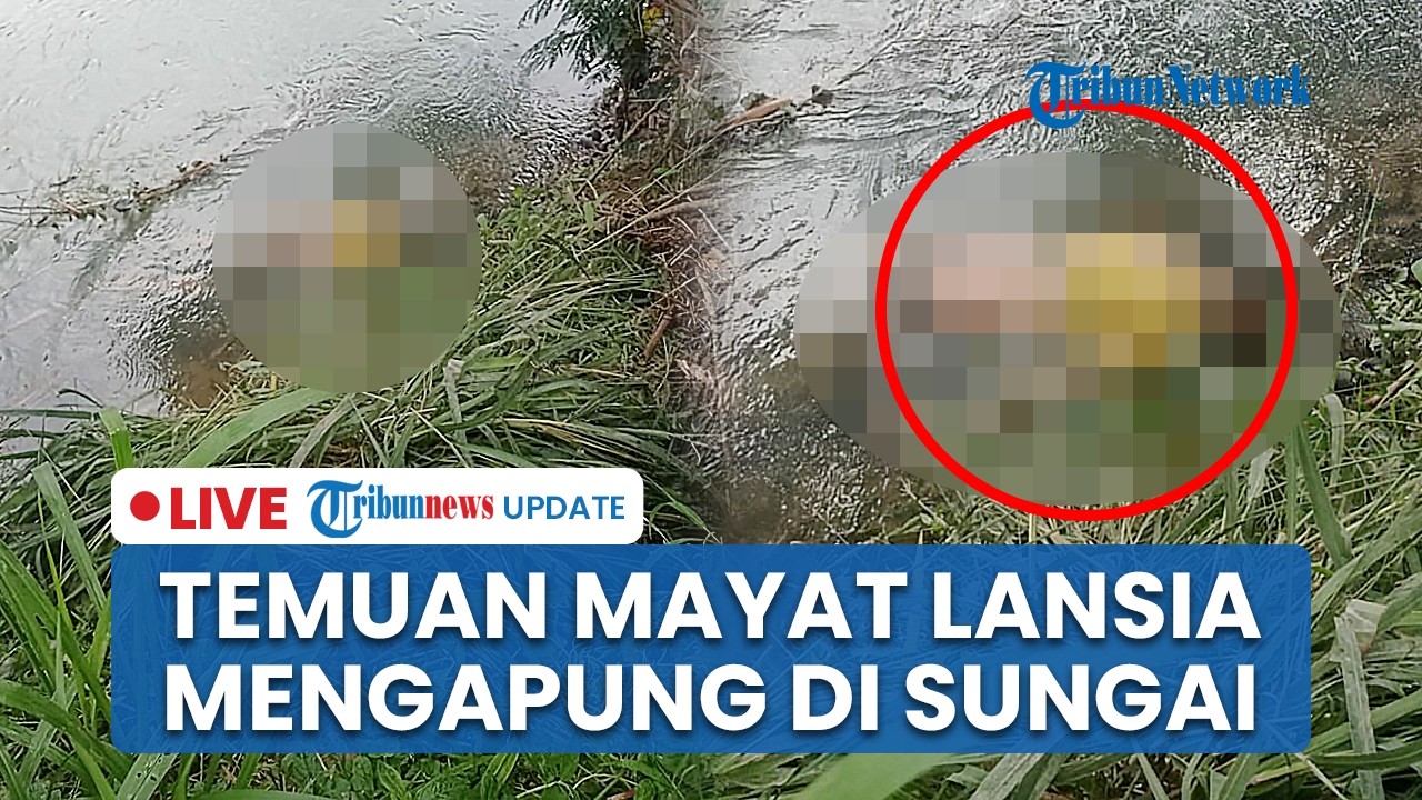 LIVE: Geger Temuan Mayat Lansia Mengapung di Sungai Banda Bakali Padang, Korban Warga Banuaran