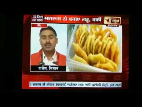 Ashok Kumar in conversation with India news Haryana channel