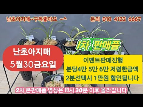 유튜브 썸네일