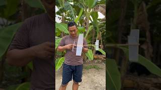 Download lagu Failed rubber powered airplane flight test #creation #diy #airplane #rubberpoweredairplane #crafts mp3