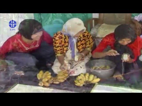 Di mana untuk membeli di St Petersburg, palu Thor Potensi obat tradisional