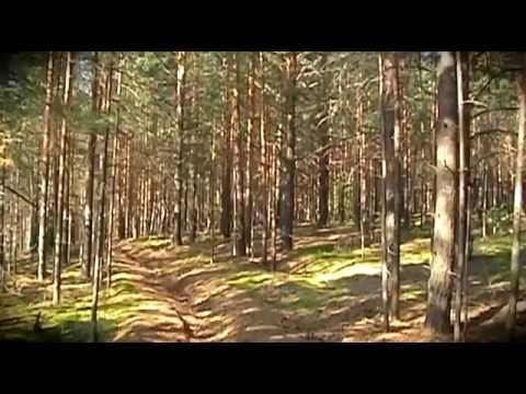 красота природы