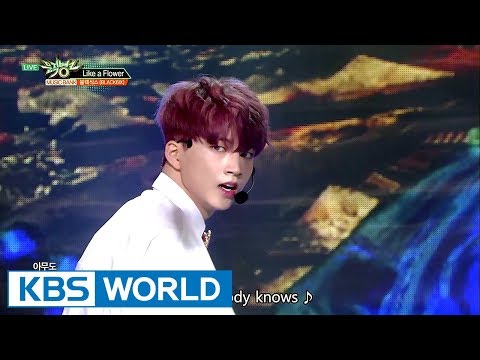 BLACK6IX (블랙식스) - Like a Flower [Music Bank / 2017.09.22]