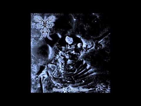 Ancient Boreal Forest - The Undercroft