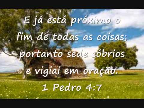 Erga Muros video