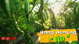 Download lagu Mie Goreng Cabe Ijo Salah Server mp3 Download lagu Mie Goreng Cabe Ijo Salah Server mp3