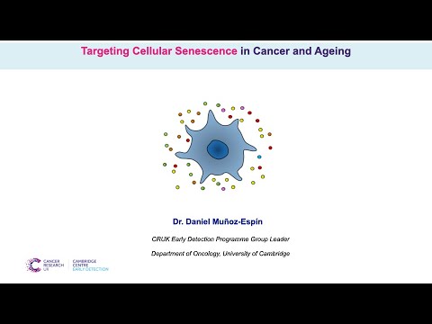 Targeting Cellular Senescence in Cancer and Ageing - Dr. Daniel Muñoz-Espín