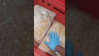 ইউরোপ এর দেশ পোল্যান্ডে আসার পরে আমি যে কাজ করে থাকি।