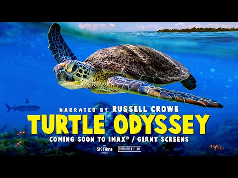 Turtle Odyssey (Trailer)