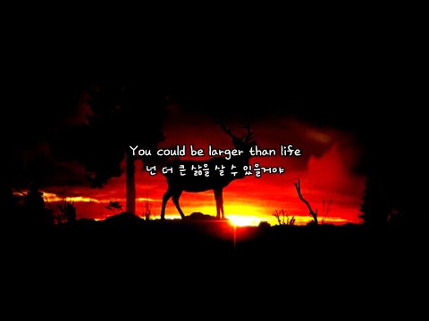 ✨You Know You Can : Pinkzebra - Larger Than Life [Lyrics/Interpretation/Translation/lyrics]