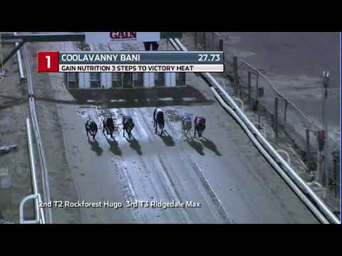 2020 GAIN THREE STEPS - HEAT 3 - T1 COOLAVANNY BANI