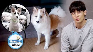 Download lagu SungHoon Used to Carry Yanghee with One Hand.. Is It Really the Same Dog? [Home Alone Ep 332] mp3