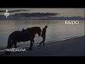 wardruna - raido