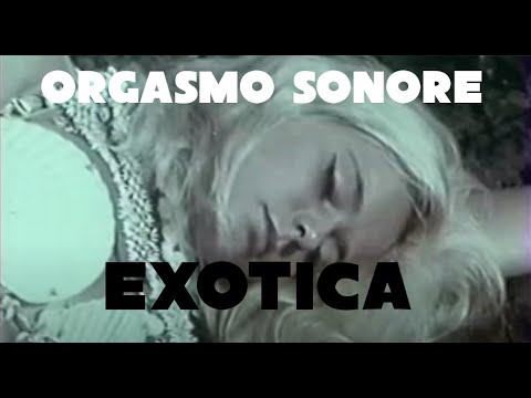 Orgasmo Sonore - Exotica