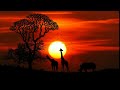 Craig Chaquico - Sunset Altar
