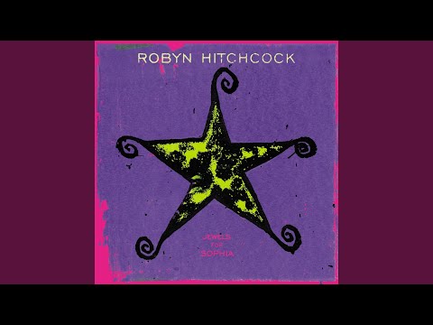 Sally Was A Legend - Robyn Hitchcock