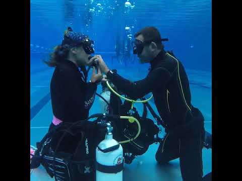 Dive master stress test 2019