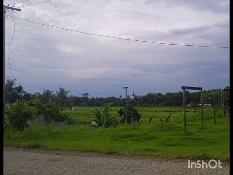 BURIA BAND-Egu tai Herevana. #pngmusik #buria of Lea Lea Village. 